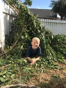 Read more about the article Tree fort