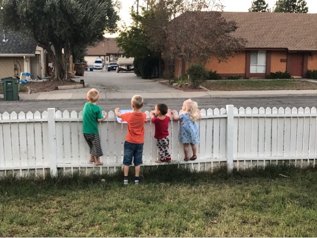 Read more about the article Trash truck