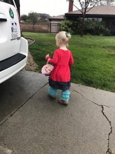 Read more about the article 