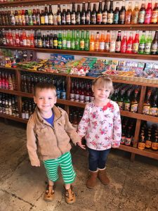 Read more about the article Field Trip fun