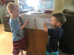 Read more about the article Schooling