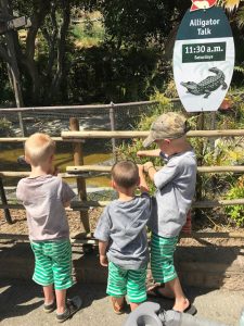Read more about the article Zoo Trip