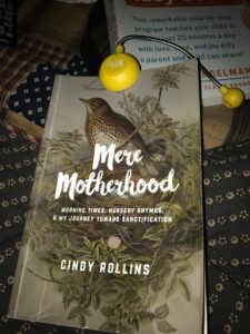 Read more about the article More Motherhood