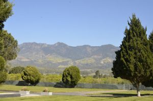 Read more about the article Pop Died this day in 2015