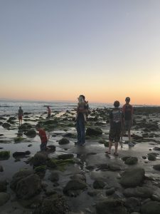 Read more about the article Long time…..