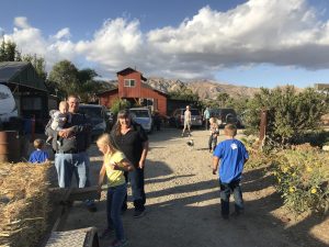 Read more about the article Hayride