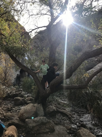 09A2423B-701C-41E3-925D-10FF9C1FC0AE