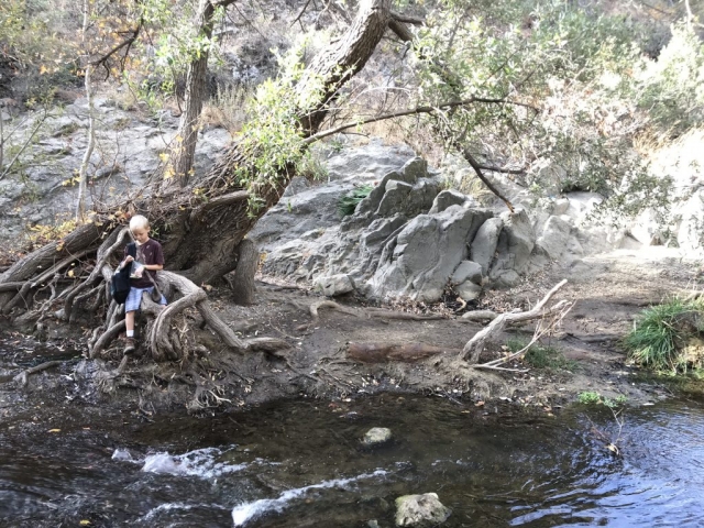 7C5FB1D7-3487-4612-A6AD-7EB362CF29EE