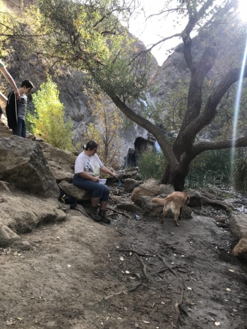 87033CEB-31B4-492F-A202-124177B0111F