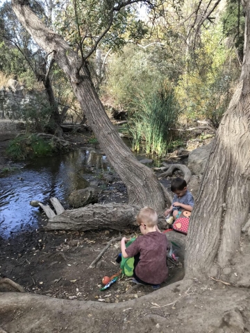 C9A03F19-C82C-40D2-A5F1-4E4A79B205DA