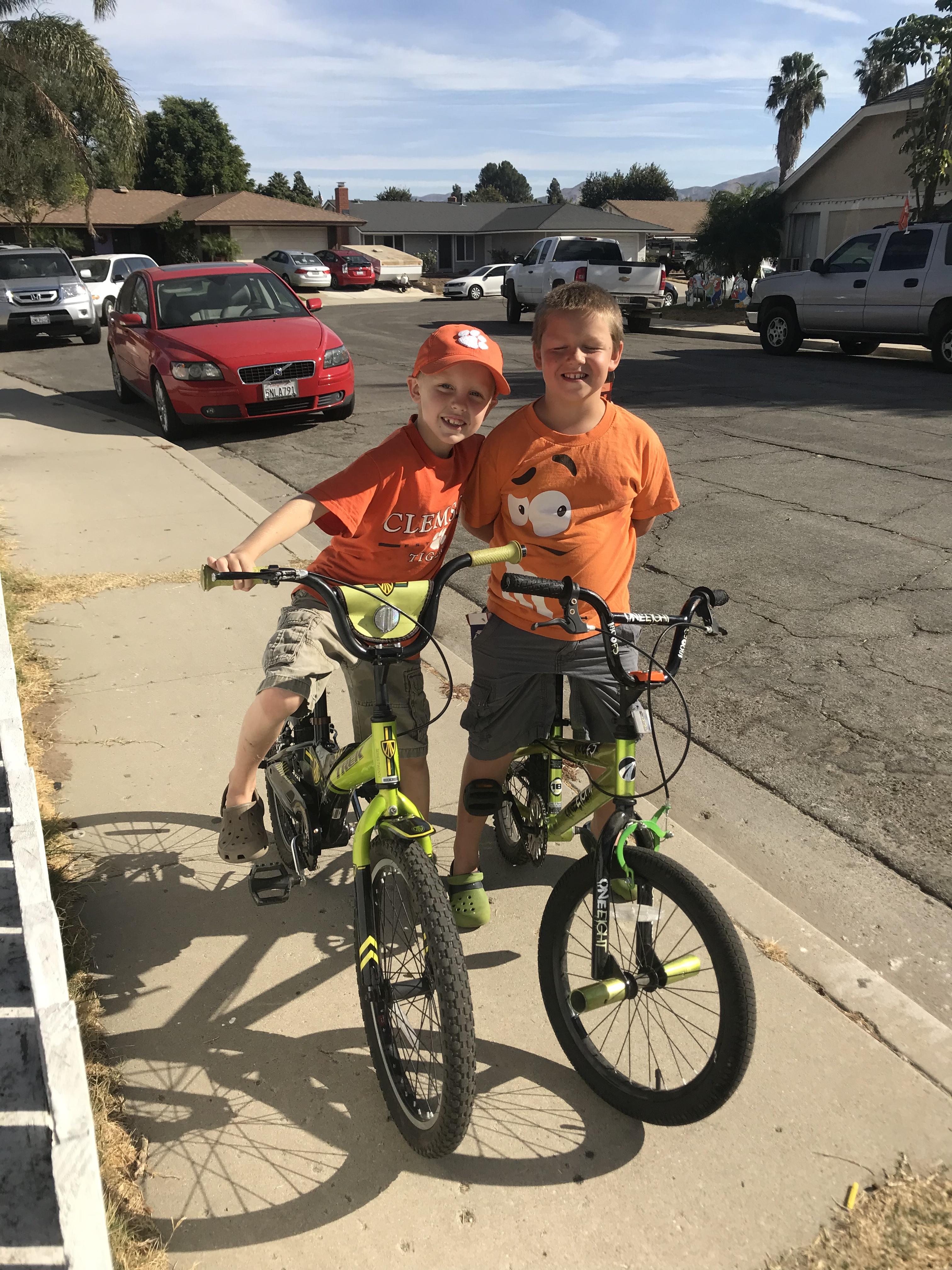 Read more about the article Cousins