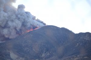 Read more about the article Fear Not