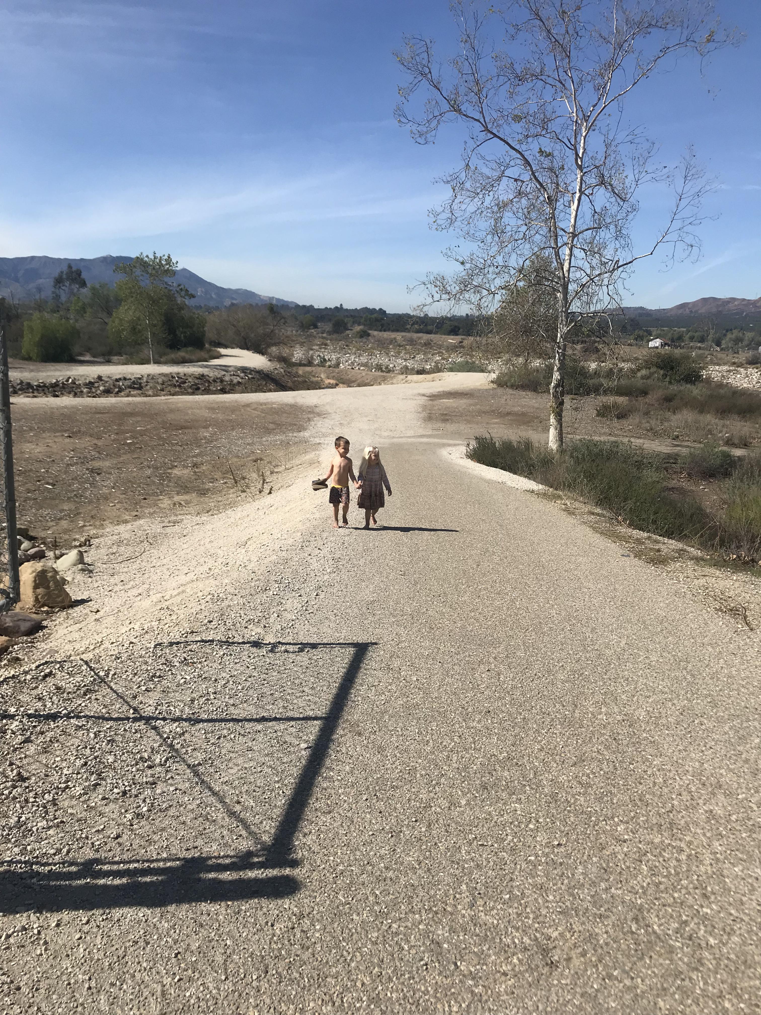 Read more about the article Next best thing