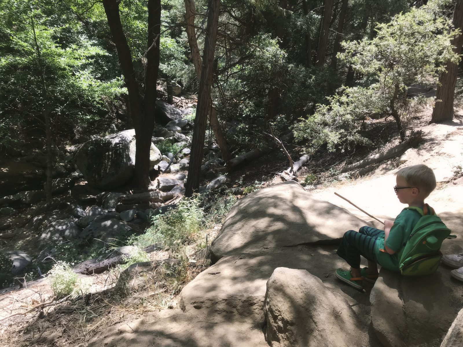 You are currently viewing Slowing it down